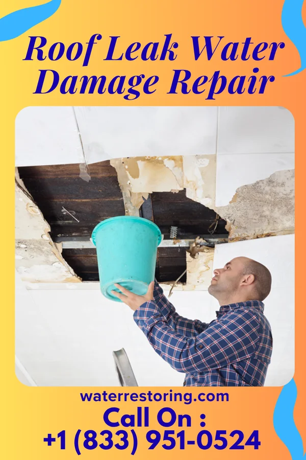 Roof Leak Water Damage Repair in Glyndon, MN