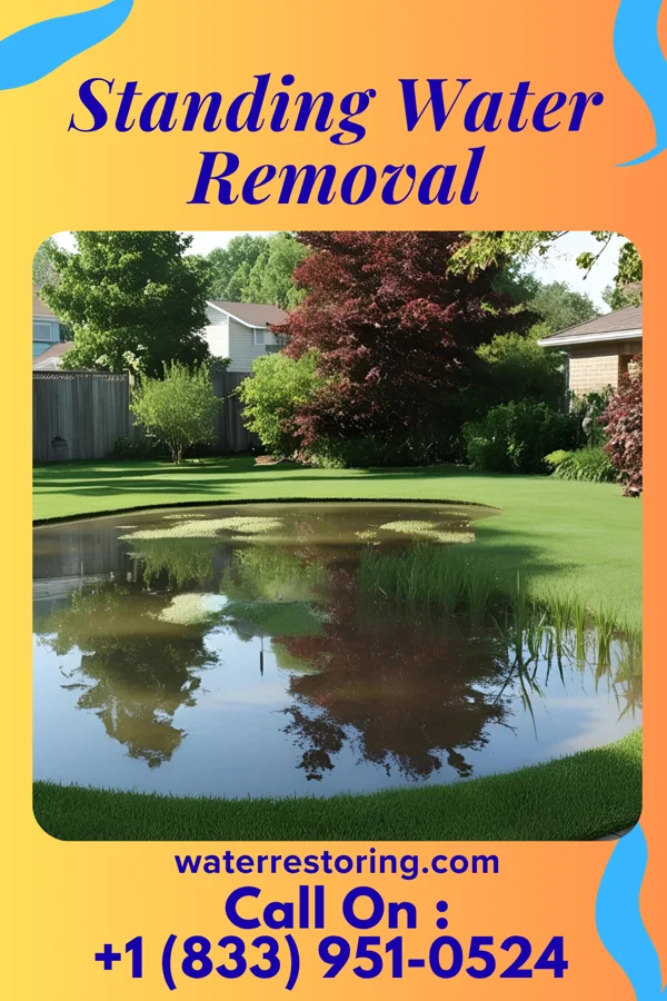 Standing Water Removal in Glyndon, MN